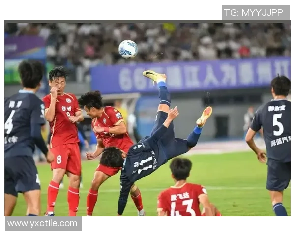 足球明星的爱犬展现球技与主人同场竞技的精彩瞬间