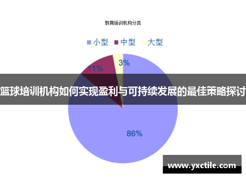 篮球培训机构如何实现盈利与可持续发展的最佳策略探讨